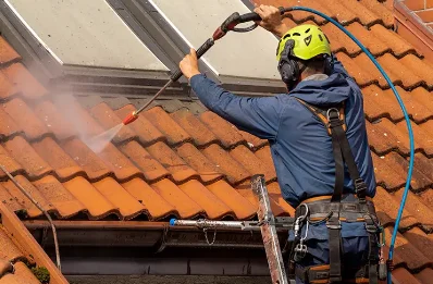 Démoussage et hydrofuge de toiture à Tazilly